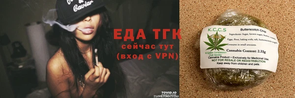 шишки Аркадак
