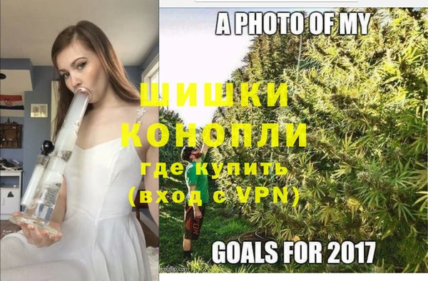 шишки Аркадак