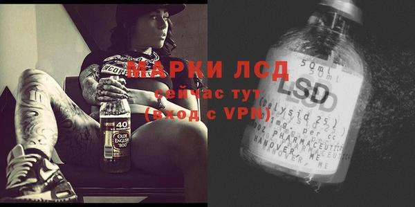 шишки Аркадак