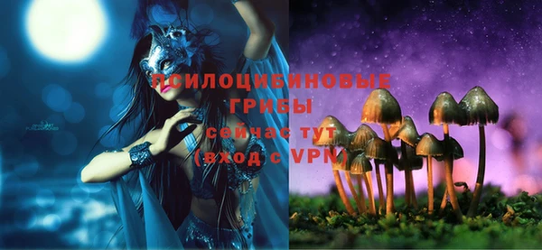 шишки Аркадак