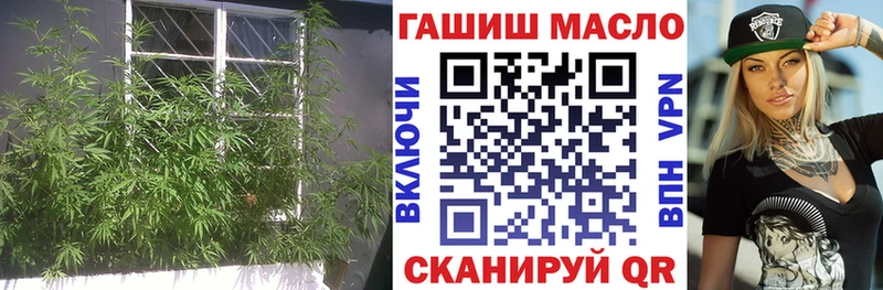 ТГК концентрат  нарко площадка клад  Белая Холуница  гидра вход 